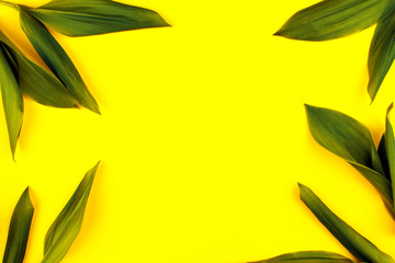 Fototapeta na wymiar Green leaf on yellow background, flat lay, top, view, punchy pastel, duo tone