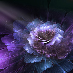 Naklejka premium abstrakcyjny kwiat, generowana komputerowo grafika