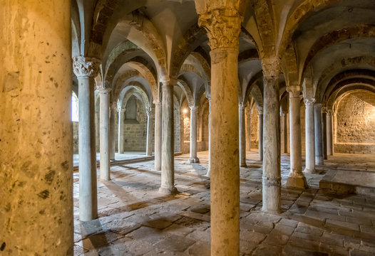Crypt with a vaulted ceiling and lots of columns, Basilica of San Pietro, Tuscania, Viterbo, Lazio, Italy, Southern Europe