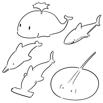 vector set of aquatic animal