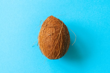 One whole coconuts on a blue background. Top view and copy space.