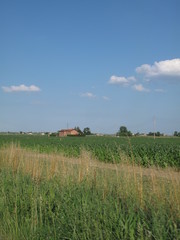 Fototapeta premium paesaggio agricolo in primavera