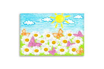 Summer motif canvas. Colored pencils drawing, author's design illustration. White camomiles flowers and butterflies in the field