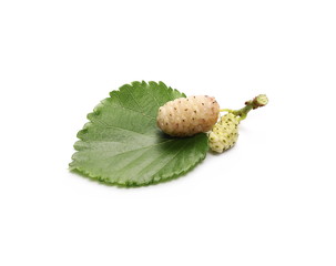 White mulberry fruit with leaves isolated on white background