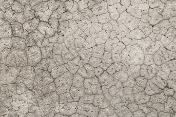 Cement
