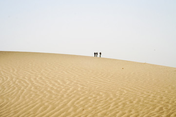 Fototapeta na wymiar Sand dune in the thal desert