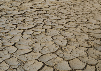 Cracked soil