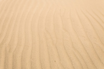 Fototapeta na wymiar Lines of the sands