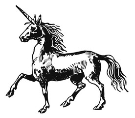 Obraz na płótnie Canvas unicorn #vector #isolated - Einhorn