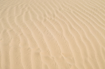 Fototapeta na wymiar A texture of the sand