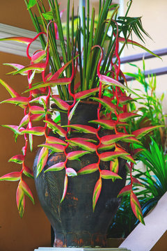 Bouquet Of Tropical Flowers In Ceramic Vase