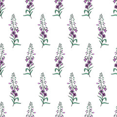Seamless vector floral pattern Willow herb, Chamerion angustifolium fireweed, rosebay flower hand drawn botanical illustration isolated on white background, texture for wallpaper, textile, package tea