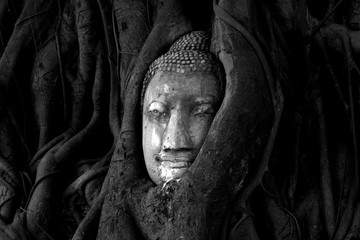 Buddha face in tree in Ayuthaya Thailand
