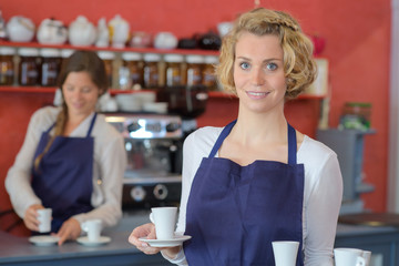 waitress a waiter working at cafe bar restaurant