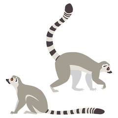 Vector illustration of walking and sitting lemurs isolated on white background