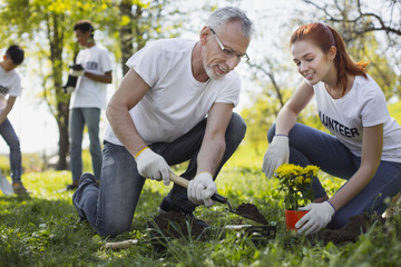 Community garden. Cheerful two volunteers planting flower and smiling