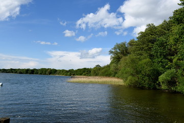 Tollensesee in Neubrandenburg