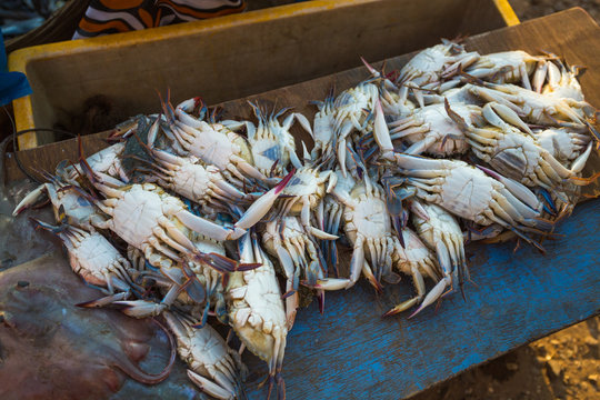 Sale of crabs in the markets of India