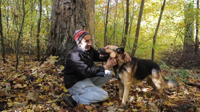 dog runs to a man in the forest,In autumn in the forest, a dog runs to her man to pat you