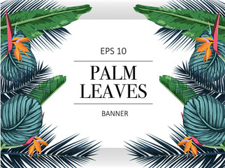 exotic pattern with palm leaves.