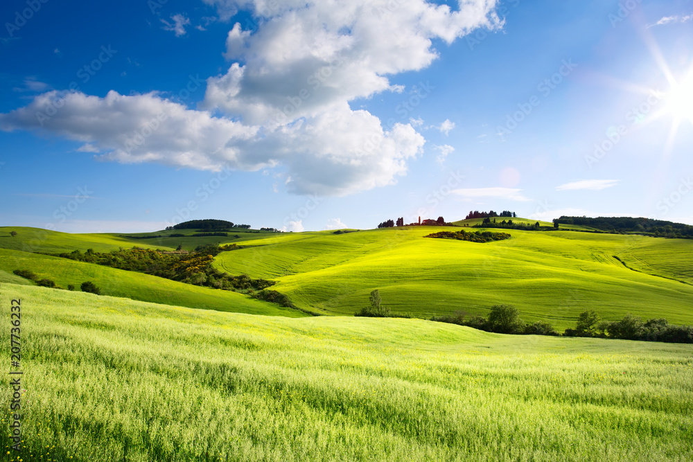 Wall mural Italy countryside landscape with Tuscany rolling hills ; sunset over the farm land