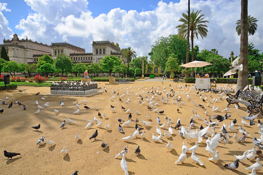 Seville, Spain - May 25, 2018: Doves in the gardens of Plaza América and in the background the building of the Archaeological Museum of Seville.