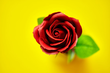 Minimalistic of an artificial red rose image photographed in studio isolated on yellow background