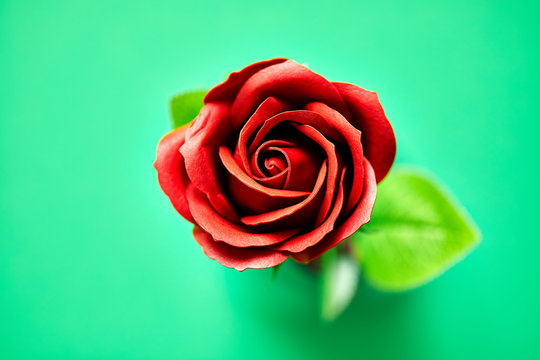 Minimalistic of an artificial red rose image photographed in studio isolated on green background