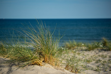 Ostsee Beach