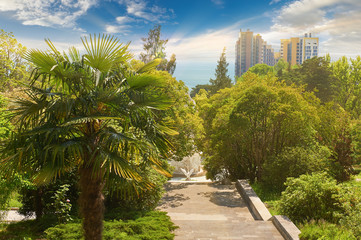 Fototapeta premium Arboretum Park - Rotunda. Russia