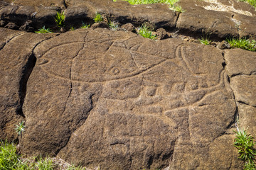 Petroglyphs on rocks, easter island