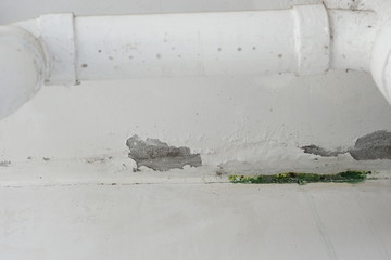 problem Water leakage from the upper floor and ceiling causes lichen.