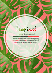 Background with tropical palm leaves. Exotic tropical plants.