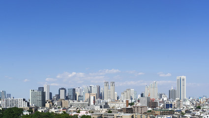 Fototapeta premium Krajobraz Tokio