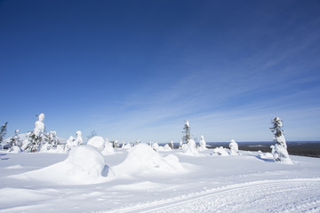Fototapeta na wymiar 雪景色　フィンランド　ロバニエミ