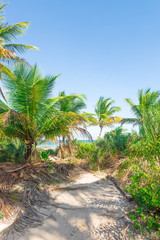 Fototapeta na wymiar impressive paradise beach at the Itacare Bahia Brazil