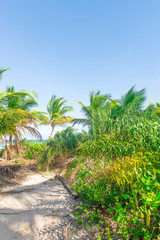 Fototapeta na wymiar Amazing view of the beaches near Itacare