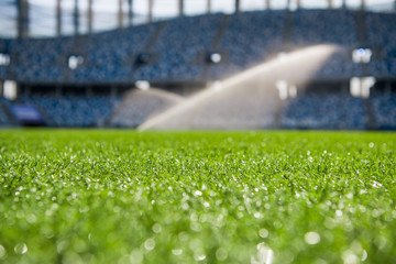 Grass on stadium in sunlight. Closeup of a green football field. Wet stadium grass in the morning...