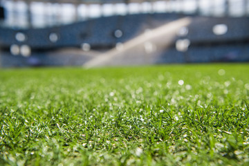 Grass on stadium in sunlight. Closeup of a green football field. Wet stadium grass in the morning light during watering irrigation. Close up macro of soccer or football field. green grass field © romankosolapov
