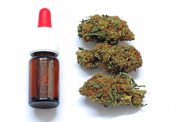 Marijuana con alto cbd e basso thc e olio prodotto dalla cannabis - droga leggera e relax - erba curativa - sostenza legale e illegale © andrea