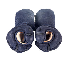 protective gloves 'kote' for Japanese fencing Kendo