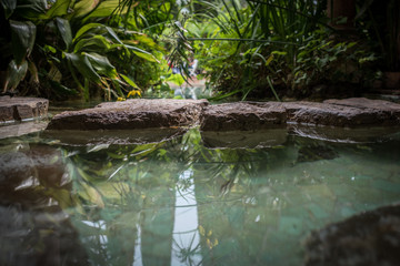 Villa Efrussi Rothschild in the south of France in the town of Cap Ferrat. Flower Festival at Villa Rothschild