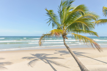 Obraz na płótnie Canvas Spectacular and impressive paradise beach at the Itacare