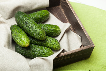 Agriculture cucumber harvest background. Fresh salad.