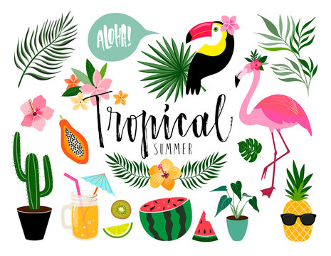Tropical summer elements collection with hand lettering