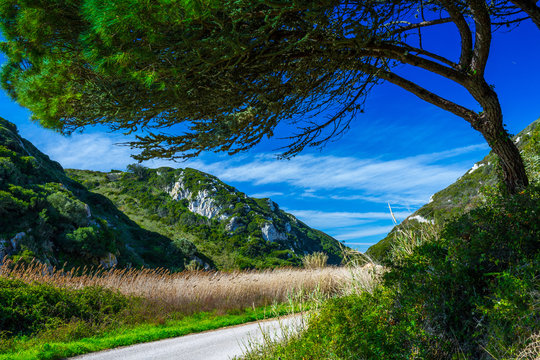The trail, the pedestrian, in the valley of the Alcabrichel River and cane thickets along a banks, surrounded by evergreen trees on steep hills. Beautiful landscape near Vimeiro in Portugal.