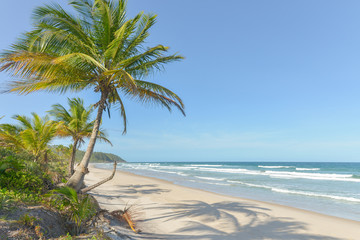 Fototapeta na wymiar Spectacular and impressive paradise beach at the Itacare
