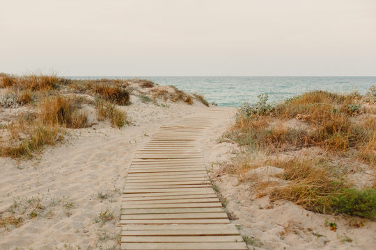 Payment Management Wooden path over the sand of the beach dunes - Powered by Adobe