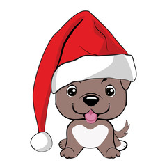 Red-haired happy dog in a red jacket with a white collar and with red hat with a white pompon on a white background.