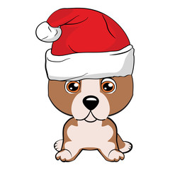 Red-haired happy dog in a red jacket with a white collar and with red hat with a white pompon on a white background.